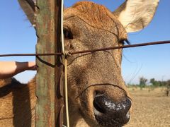 -亿利库布其七星湖沙漠生态旅游区