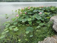 景点-云龙湖旅游景区