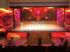 -陕西省小天鹅艺术团