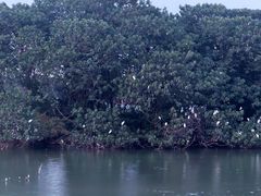 -海珠湖公园