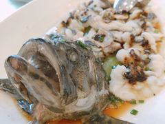 -顺风海鲜港(长寿路店)