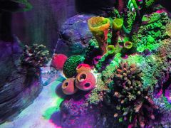 -沈阳海洋探索中心