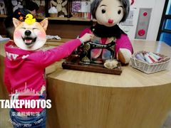 -济州岛泰迪熊博物馆