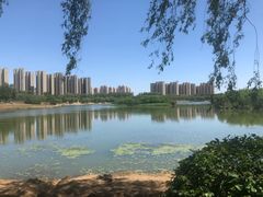 -丁香湖公园