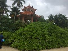 -东郊椰林