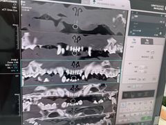 -嘉馨宠物医院·CT影像转诊·心脏科·犬猫全科诊疗中心(下沙大学城院区)