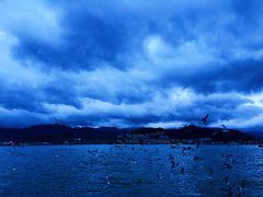 -青岛沙子口国家中心渔港