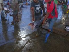 -尼甘布海鲜市场