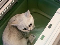 -安安宠医·安宠宠物医院