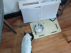 -猫爪屋猫咖(乐汇城店)