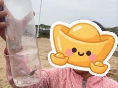 -碧海金沙