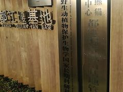 -都江堰中华大熊猫苑