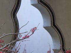 -上海醉白池公园