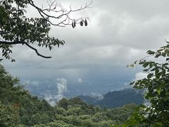 -廖哥泡椒兔(峨眉店)