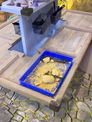 点击看大图 -卡通尼·Safari非洲探索乐园·生日会(金桥国际商业广场店)