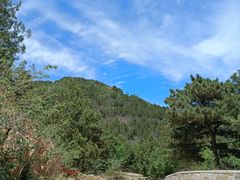 -北京西山国家森林公园