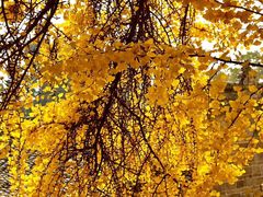 -金堂县云顶石城风景区