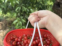 -樱桃山旅游景区