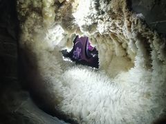 -湖南省地质博物馆