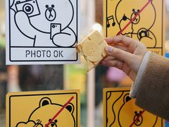 -line friends(明洞旗舰店)