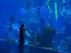 -哈尔滨波塞冬海底世界