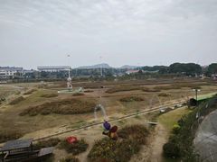 -苏州太湖西山岛开心农场