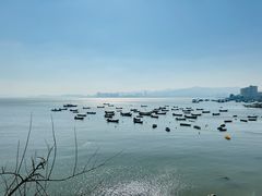 -海源公园