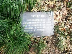 -秋霞圃