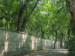 -上海佘山国家森林公园天马山园