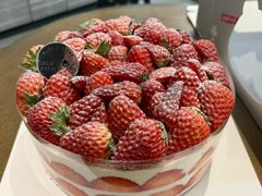 -静宜和她的朋友(星海广场店)