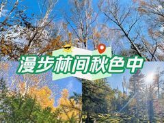 -汤旺河林海奇石景区