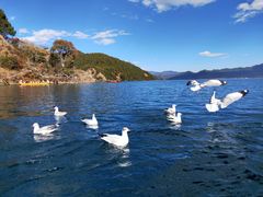 -丽江泸沽湖景区