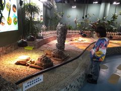 -上海大自然野生昆虫馆(东方明珠·爬宠昆虫探索中心)