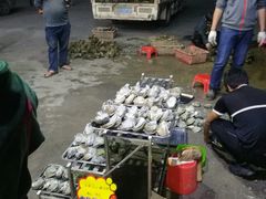 蚝-蚝专家(北滘店)