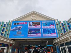 -海合安成都极地海洋公园
