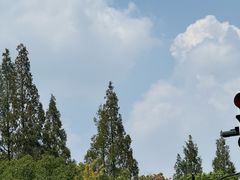 -龙华素斋(龙华路店)