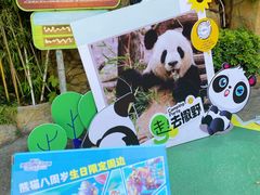 -灵玲国际马戏城