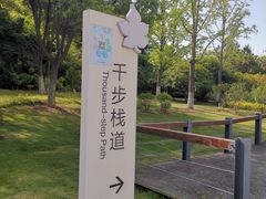 -尚贤河湿地