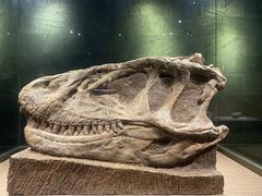 -自贡恐龙博物馆