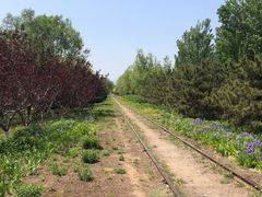 -永定河休闲森林公园