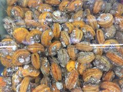 -明记海鲜大排档(巽寮湾店)