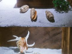 -南昌海洋公园