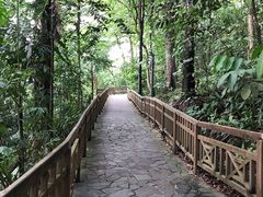 -武吉知马自然保护区