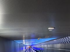 -白鹤梁水下博物馆