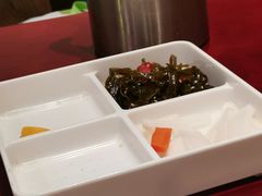 -火焰金龟甲(汉阳江滩旗舰店)