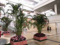 -厦门高崎国际机场-T3航站楼