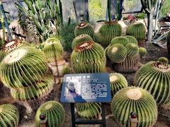 -北京植物园-展览温室