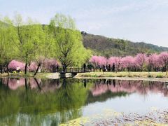 -石塘人家