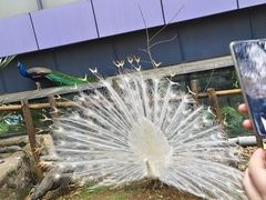 -昆明动物园