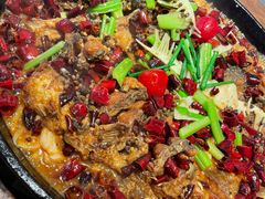 -老板恋上鱼(恒隆广场店)